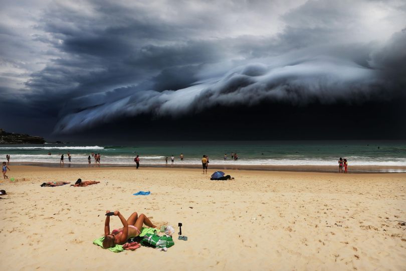 Nature, first prize singles: A massive 'cloud tsunami' looms over Sydney as a sunbather reads, oblivious to the approaching cloud on Bondi Beach. Rohan Kelly.