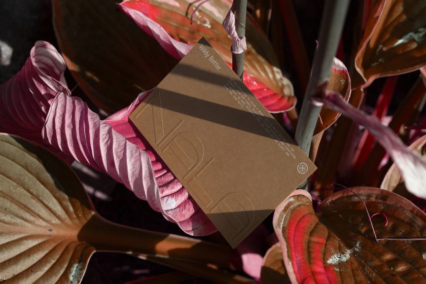 Universal Favourite crafts an inclusive identity for game-changing underwear brand Nala