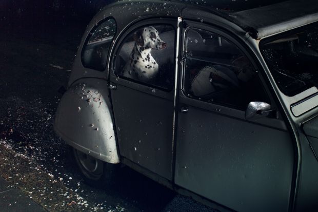 All images from The Silence of Dogs in Cars by Martin Usborne is published by Hoxton Mini Press