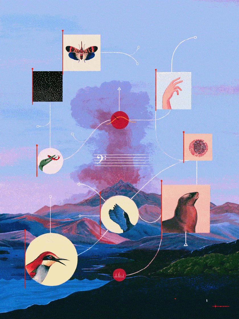 Sounds Wild and Broken by Daniel Lievano