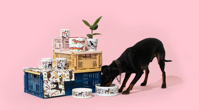 Dog Bowl by Hammo X Fred Aldous