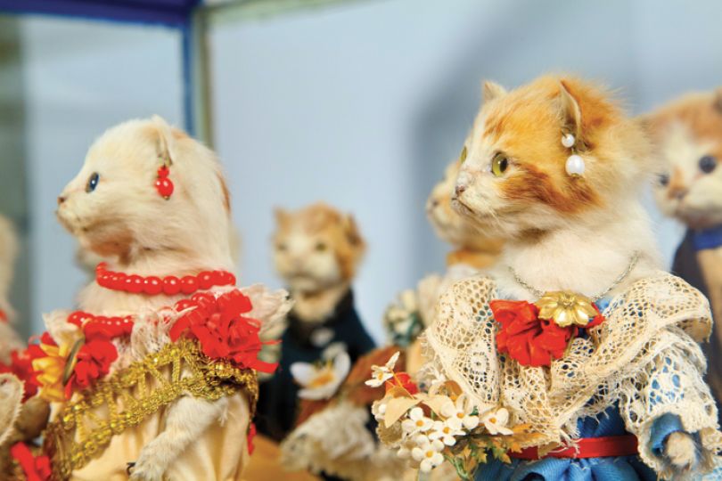 In love and taxidermy: Brooklyn's Morbid Anatomy Museum holds Kittens ... Walter Potter Squirrels