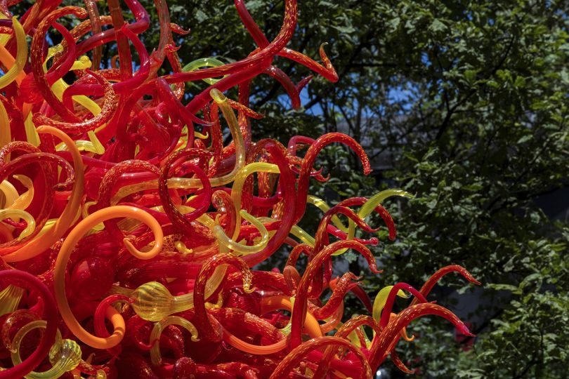 Summer Sun, 2010. Dale Chihuly © Chihuly Studios