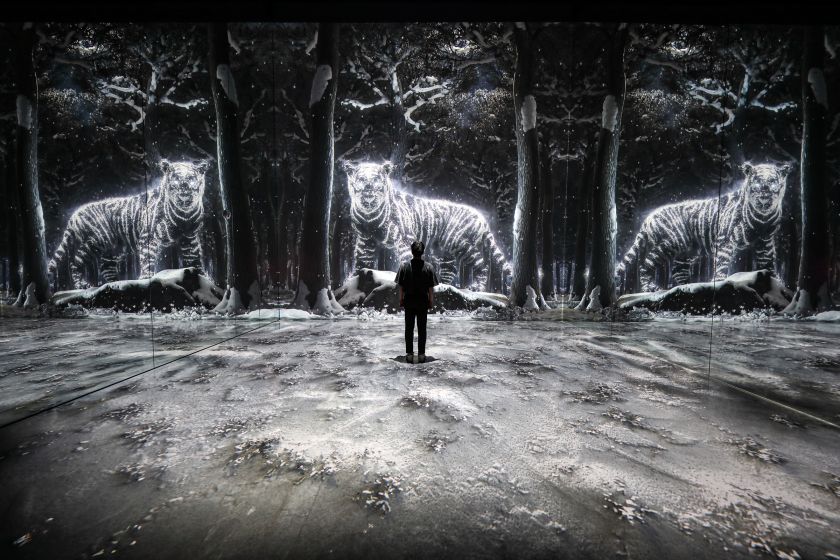 L. J. Kim from d’strict will spark a conversation on the power of innovative cultural storytelling to engage with local communities and democratise art experiences on a global scale. Photo Credit: ARTE MUSEUM – GANGNEUNG FOREST (2021) © d'strict