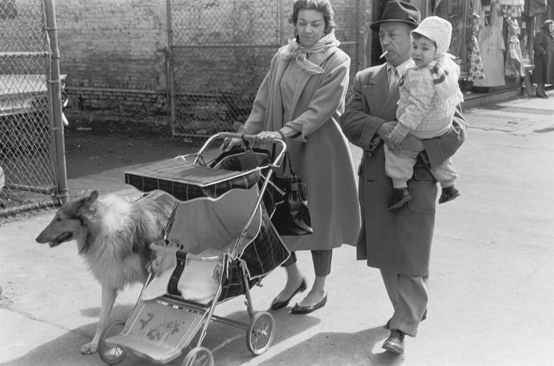 Family out for a walk with collie, 1960