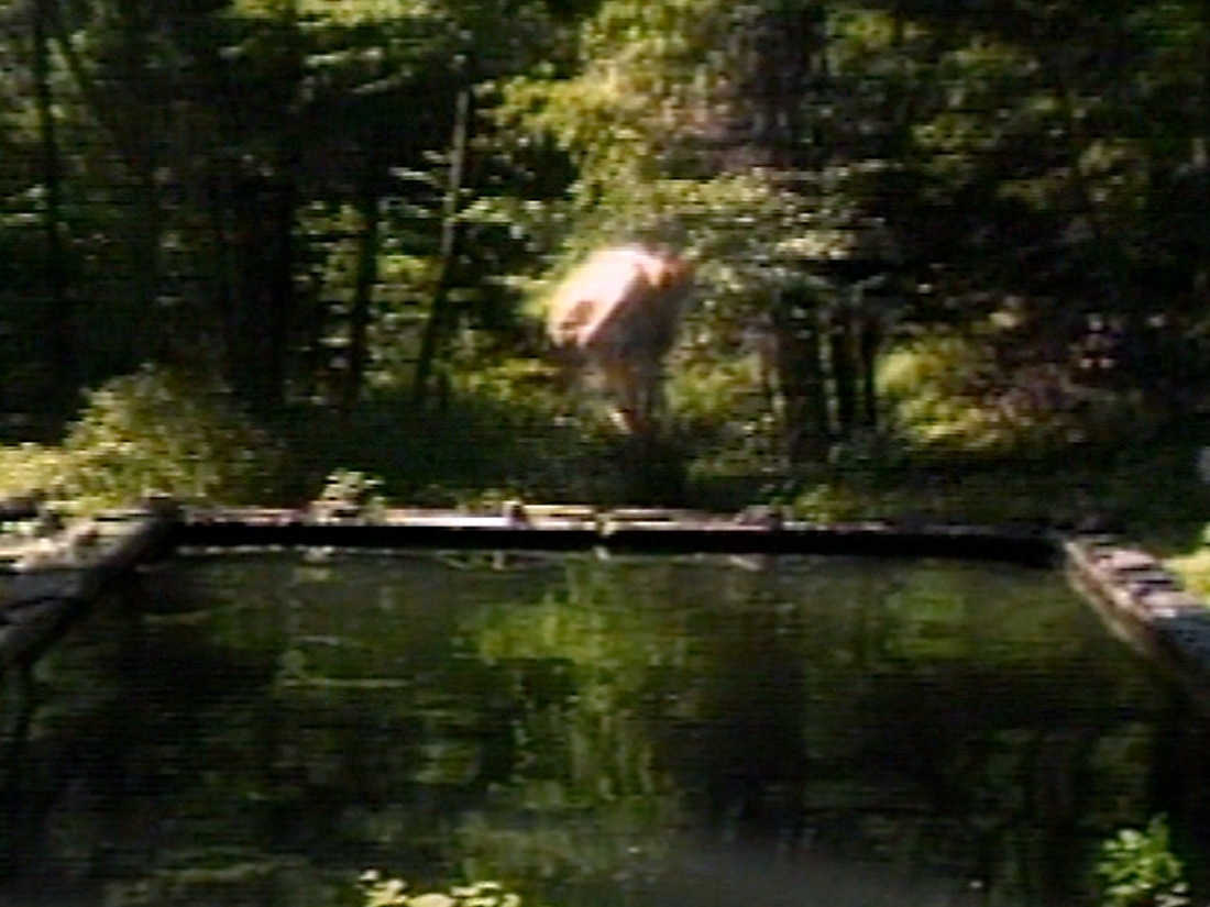 The Reflecting Pool, 1977–9 Videotape, color, mono sound; 7 minutes Performer: Bill Viola Courtesy Bill Viola Studio © Bill Viola Photo: Kira Perov