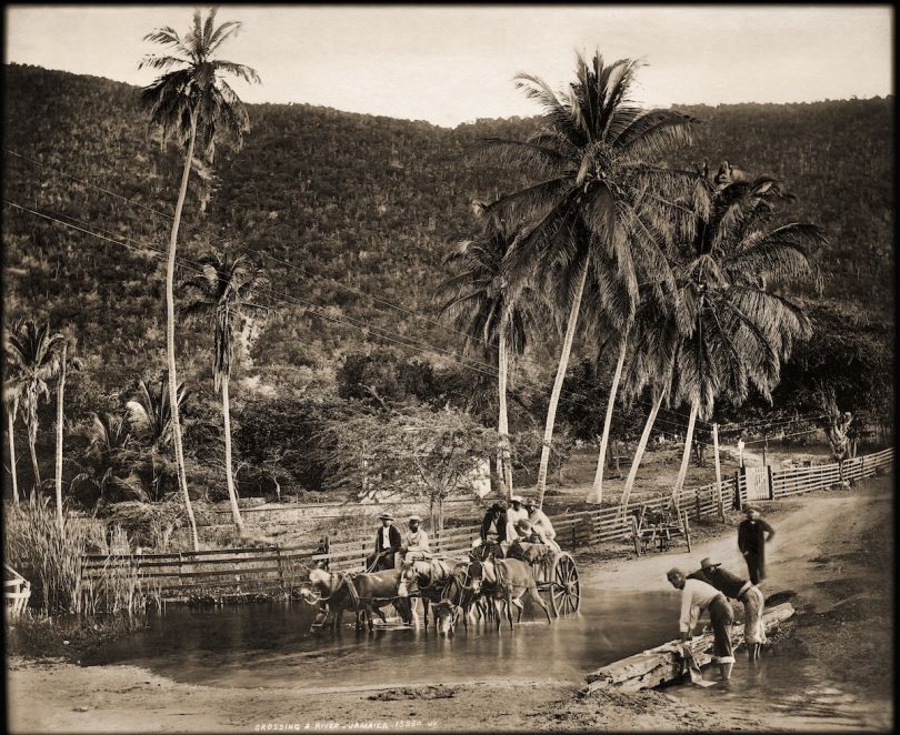 Crossing a River, Jamaica. James Valentine & Sons, 1891. Courtesy Caribbean Photo Archive / Autograph ABP