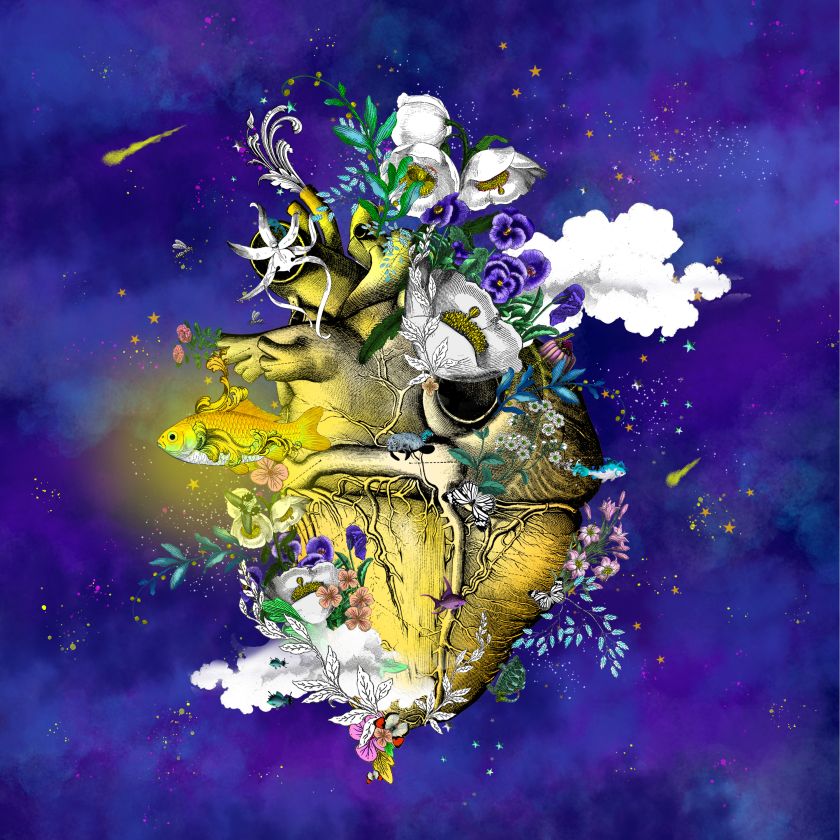 Collage artist Kristjana S. Williams shakes up the medium with her new auto-generated collection