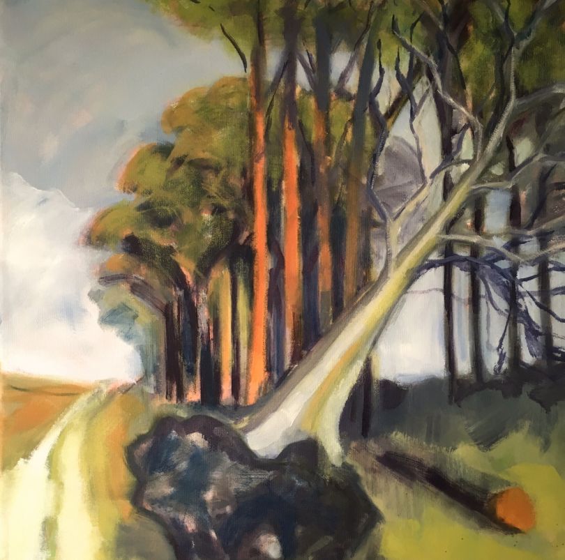 Wendy Brooke-Smith, Ridgeway_ Fallen Beech, 2017, acrylic on canvas, 50 x 50cm