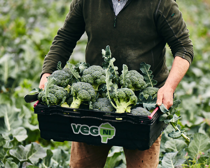 Jack Renwick Studio's identity for Veg NI builds on the 'parful' benefits of buying local produce