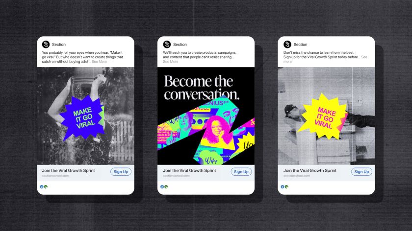 DesignStudio rebrands Section to 'revolutionise' elite business education