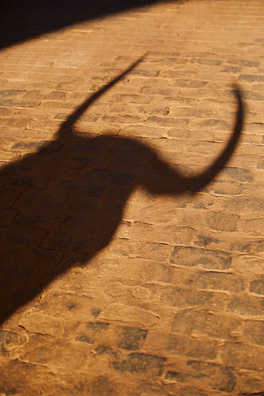 The Matador: photographer Owen Harvey explores the divisions surrounding Spanish bullfighting