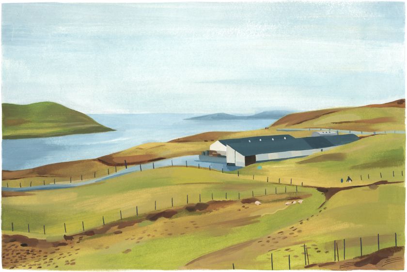 Grace Helmer on creating tender illustrations, going freelance, and