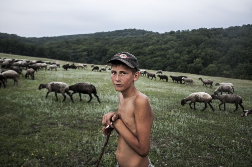 Young Shepherd by Ilya Bugaev. © Ilya Bugaev, Moldova (Republic of), Shortlist, Youth, Diversity (2019 Youth competition), 2019 Sony World Photography Awards