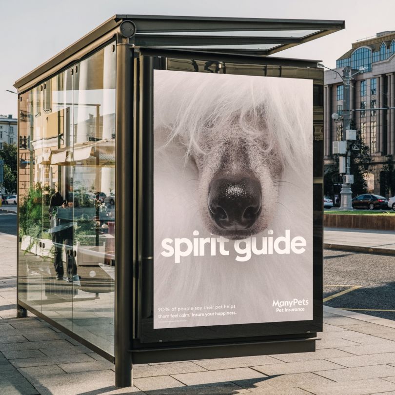 ‘Insure Your Happiness’: playful outside marketing campaign celebrates the well being advantages of puppy possession