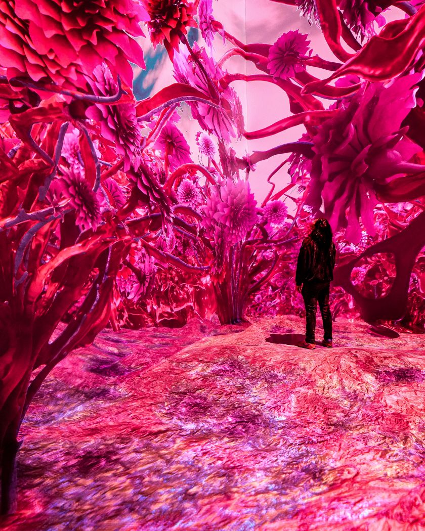Immersive art experience Magentaverse casts new light on Pantone's Color of the Year