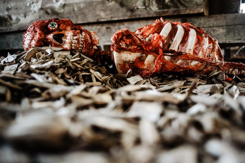 Zombie Skeleton © Zomblogalypse . Photography by Esme Mai