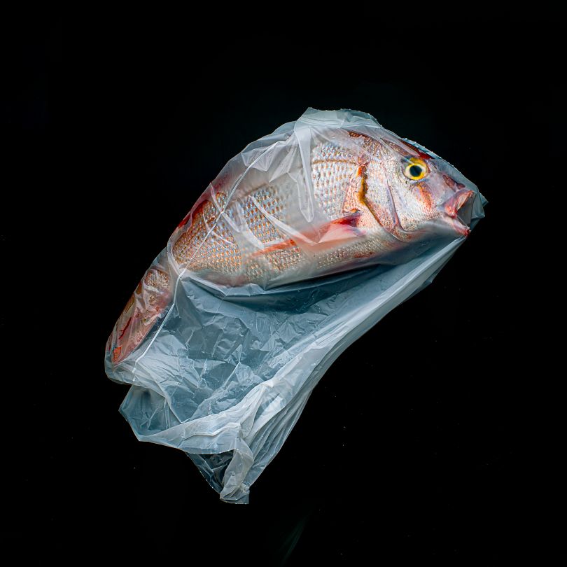 A Plastic Ocean © Jorge Reynal, Argentina, Winner, Open, Still Life, 2020 Sony World Photography Awards